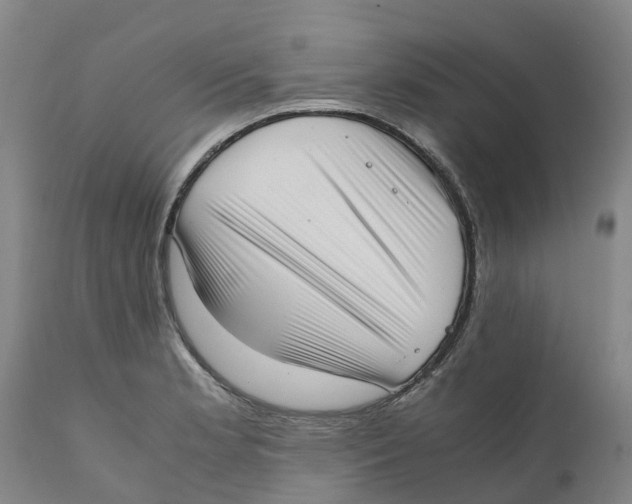 X0000111631181200908141335