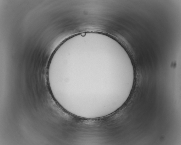 X0000111631182200908141335