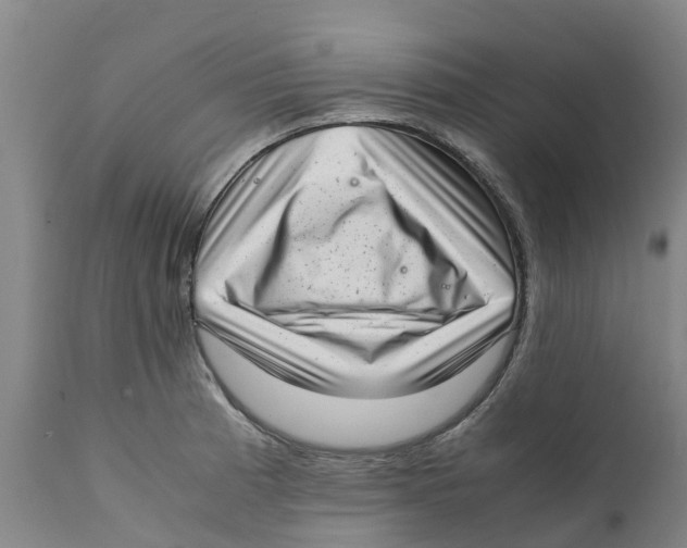 X0000111631185200908141335