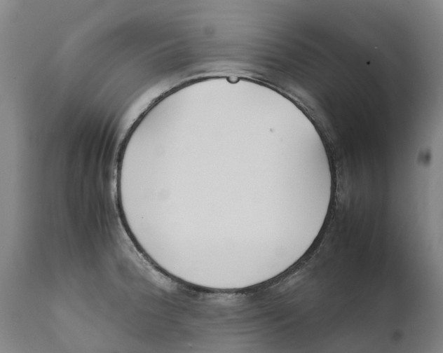 X0000111631188200908141335