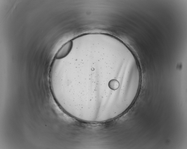 X0000111631189200908141335