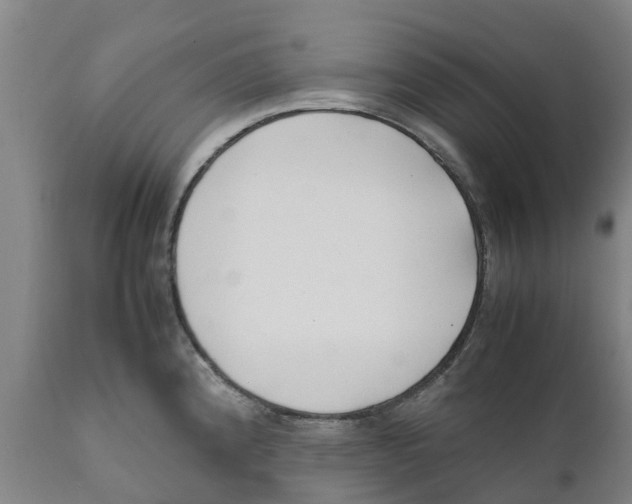 X0000111631192200908141335