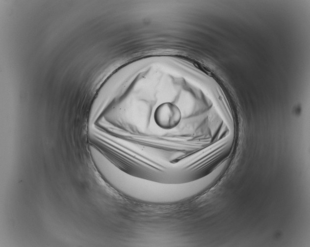 X0000111631193200908141335