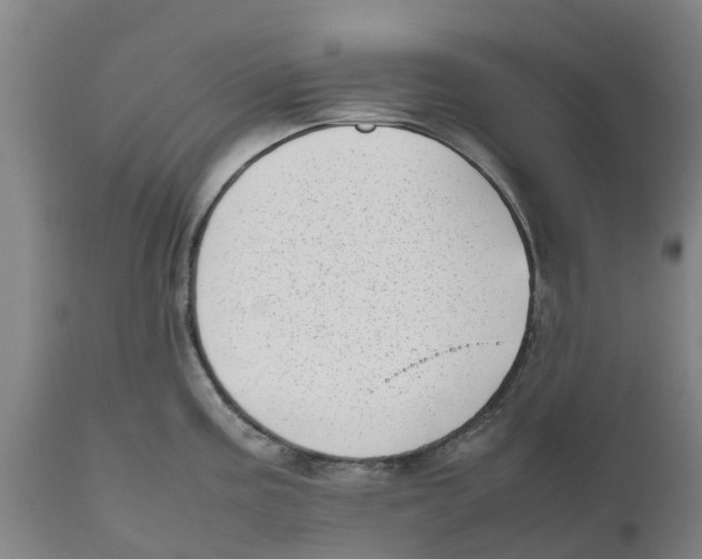 X0000111631195200908141335