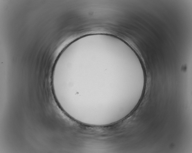 X0000111631197200908141335