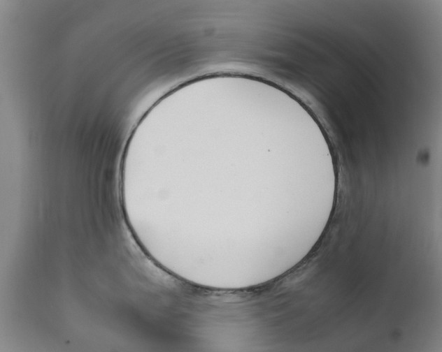 X0000111631199200908141335