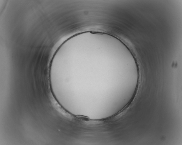 X0000111631200200908141335