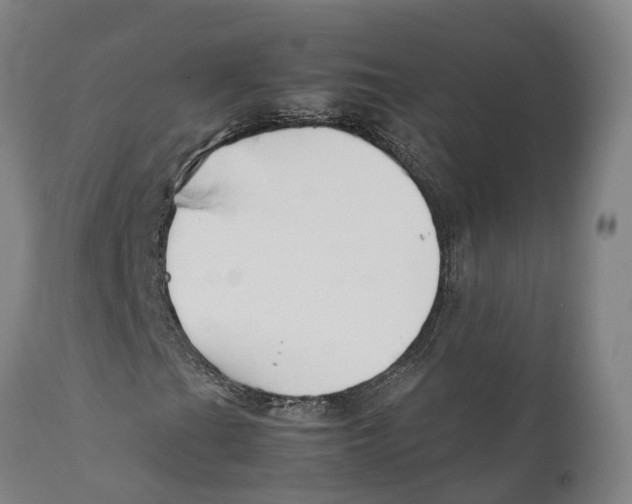 X0000111631201200908141335