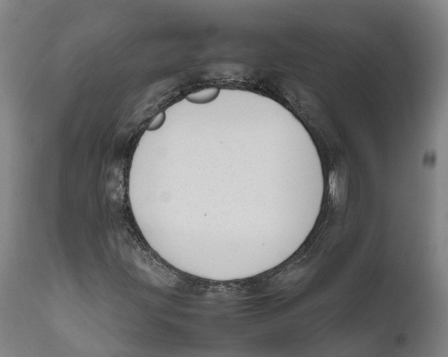 X0000111631203200908141335