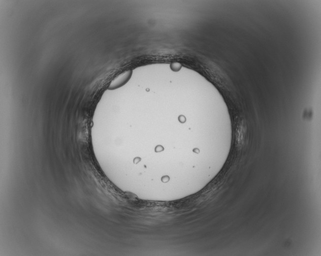 X0000111631204200908141335