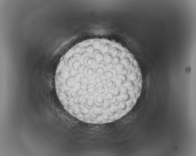 X0000111631205200908141335