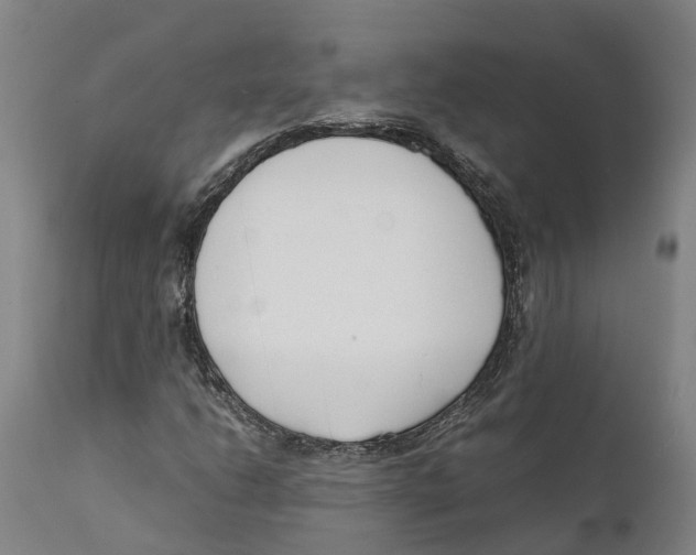 X0000111631206200908141335