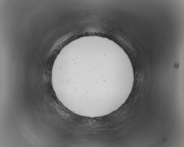X0000111631207200908141335