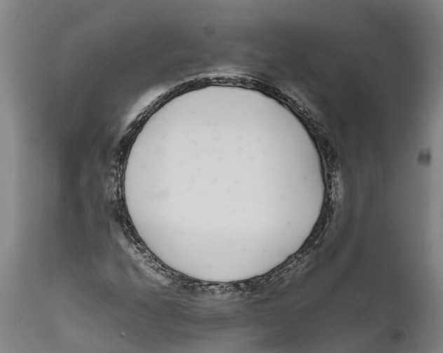 X0000111631208200908141335