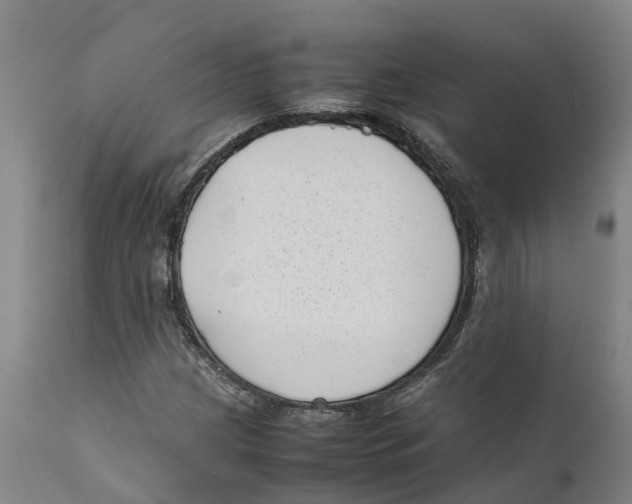 X0000111631209200908141335