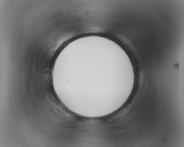 X0000111631210200908141335