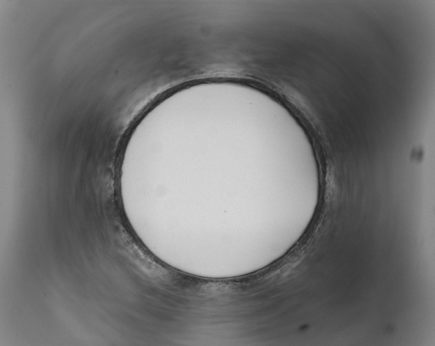 X0000111631212200908141335
