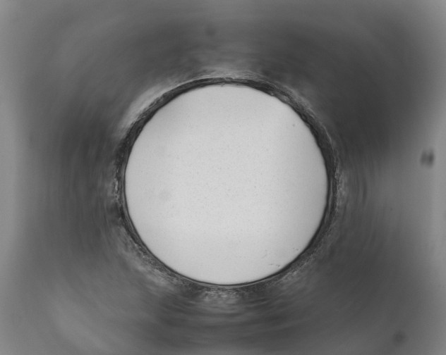 X0000111631215200908141335