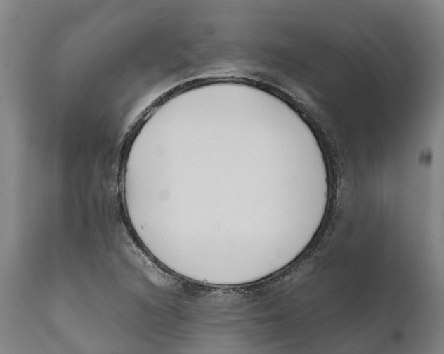 X0000111631216200908141335
