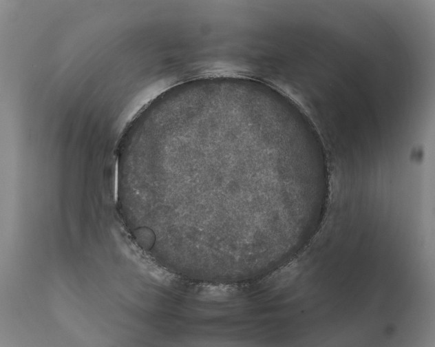 X0000111631219200908141335