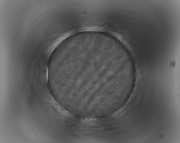 X0000111631221200908141335