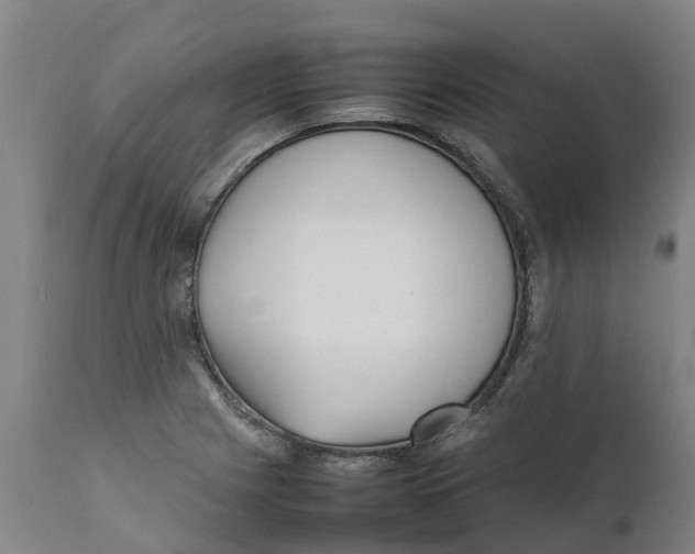 X0000111631225200908141335