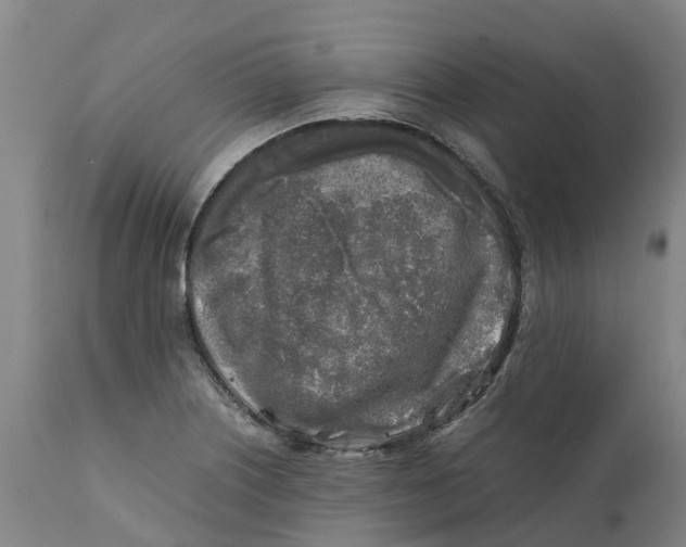 X0000111631226200908141335