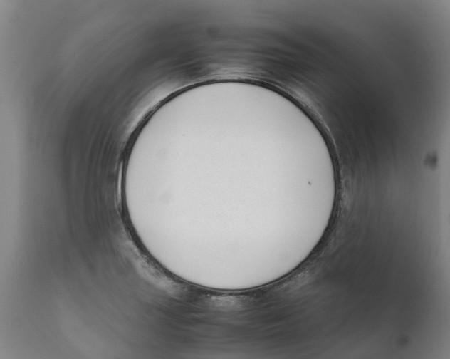X0000111631227200908141335