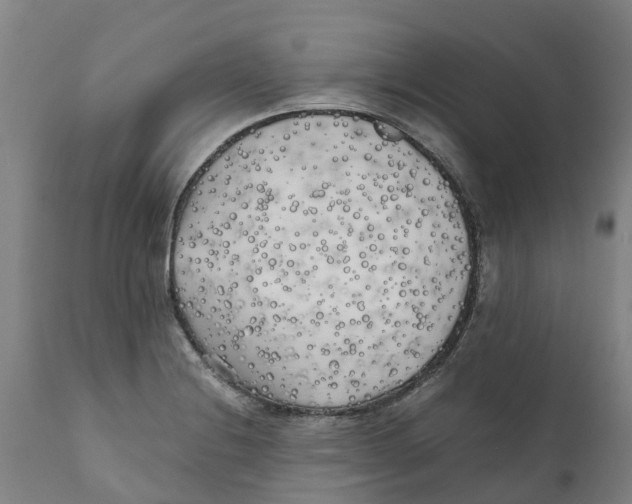 X0000111631228200908141335