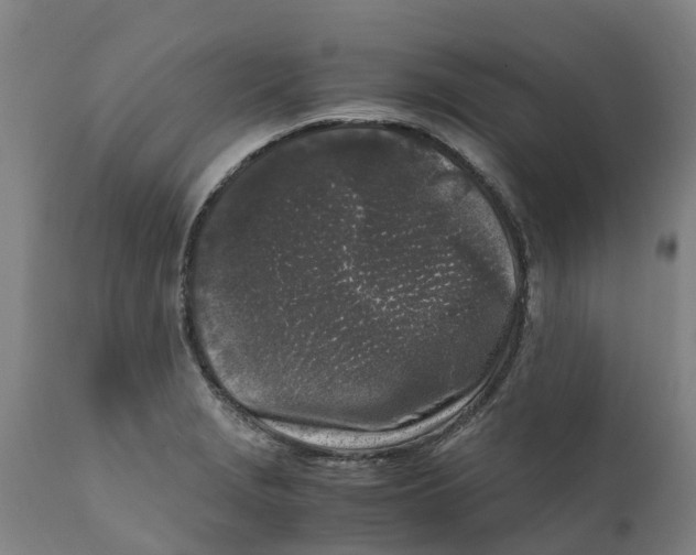 X0000111631229200908141335