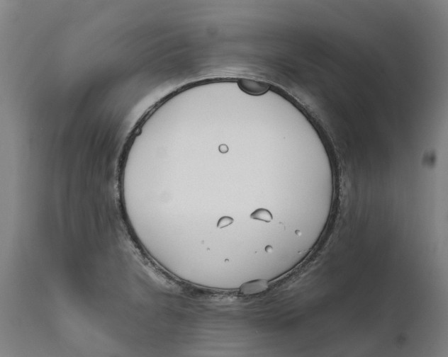 X0000111631230200908141335