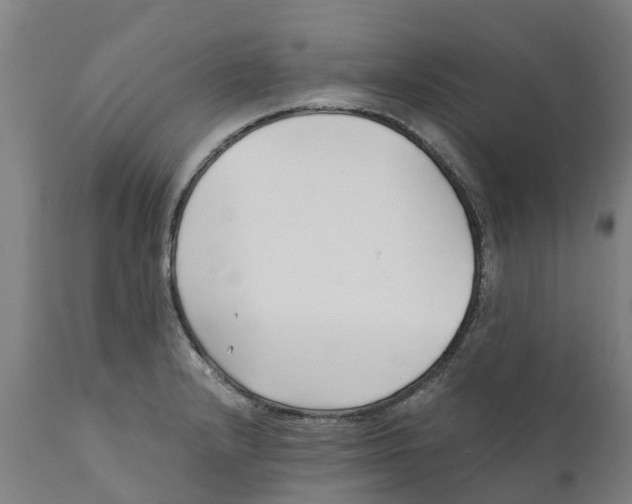 X0000111631232200908141335