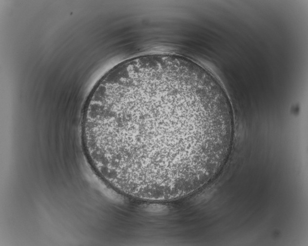 X0000111631235200908141335