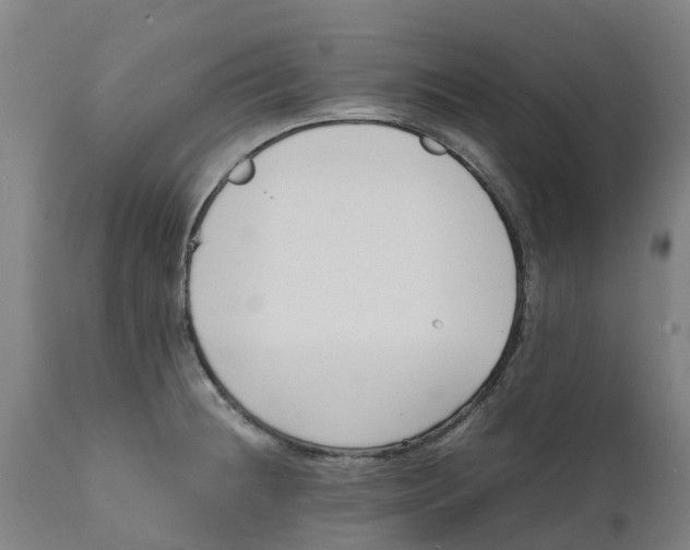 X0000111631236200908141335