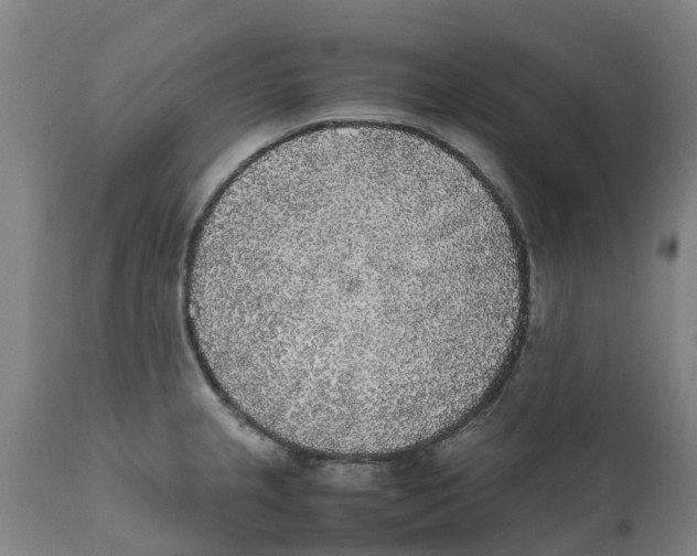 X0000111631237200908141335