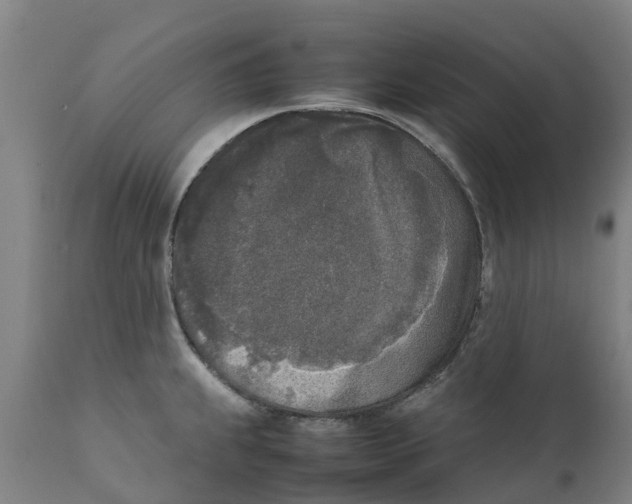 X0000111631239200908141335