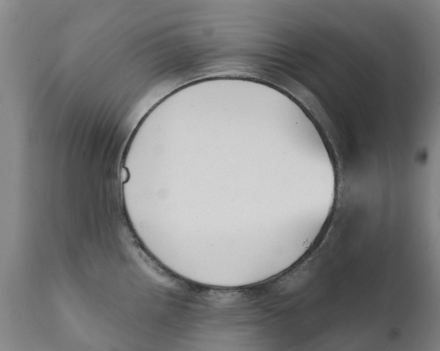 X0000111631242200908141335