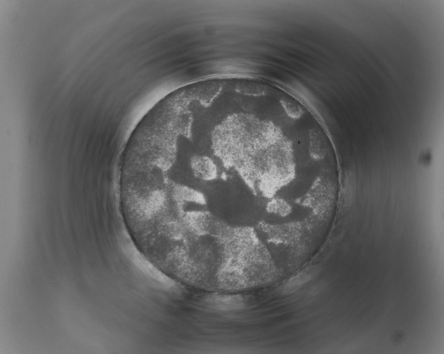 X0000111631243200908141335
