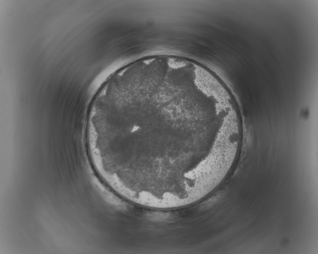 X0000111631245200908141335