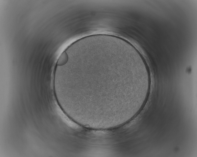 X0000111631246200908141335