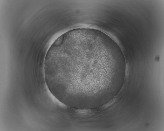 X0000111631247200908141335