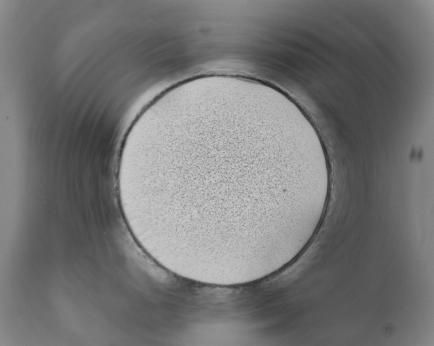 X0000111631248200908141335