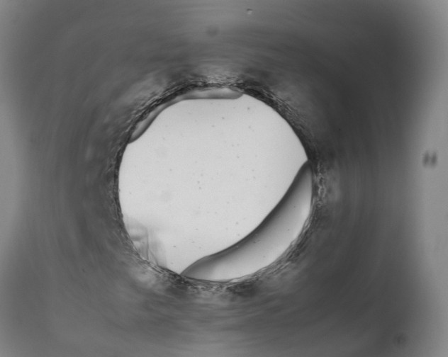 X0000111631249200908141335