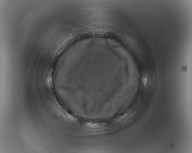 X0000111631252200908141334