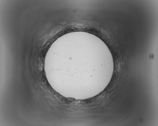 X0000111631253200908141334