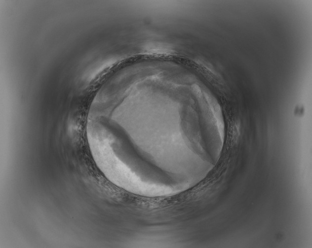 X0000111631254200908141334