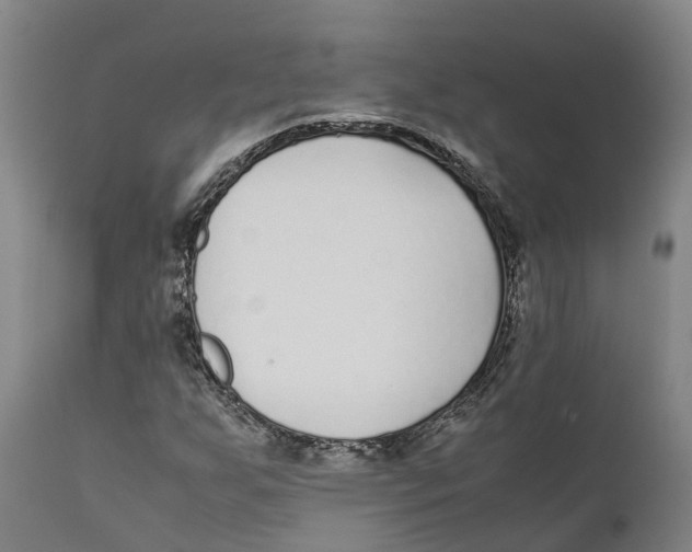 X0000111631255200908141334