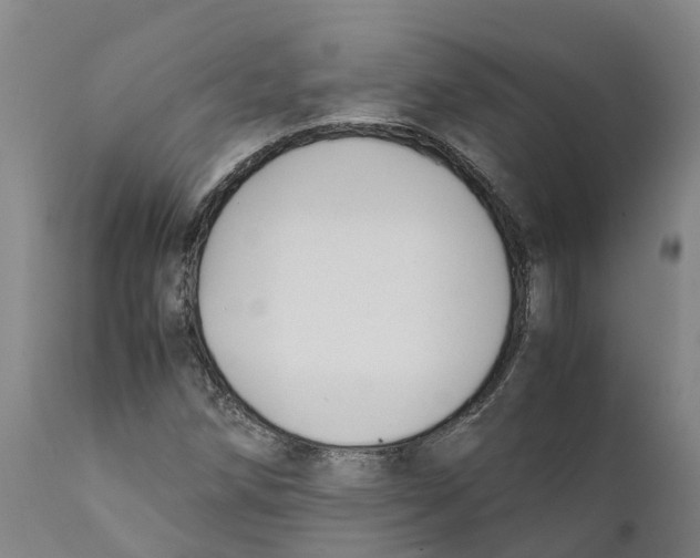 X0000111631258200908141334