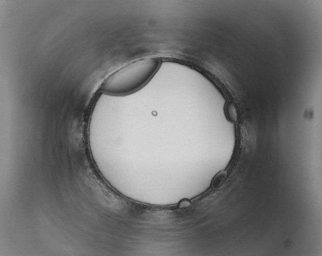 X0000111631260200908141334