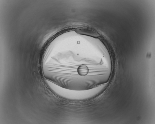 X0000111631261200908141334